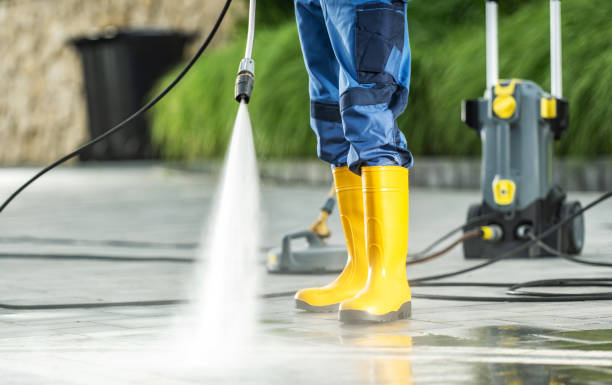 Best Surface-Specific Cleaning in Enumclaw, WA